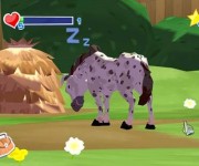 World of Zoo5