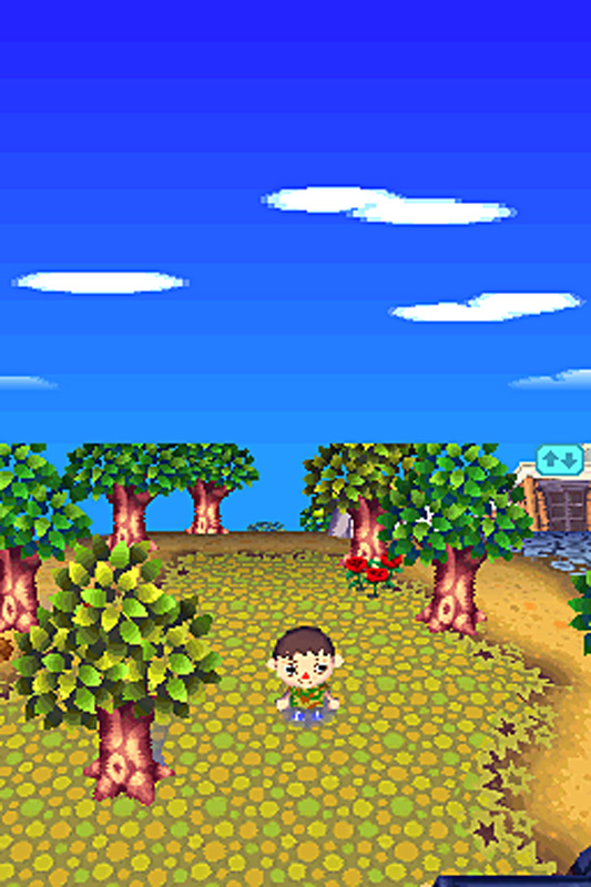 animal crossing wild world digital download