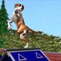 Die Sims – Tiergeschichten