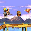 Donkey Kong Country 3