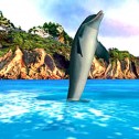 Ecco the Dolphin: Defender of the Future?