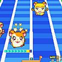 Hamtaro: Ham Ham Games