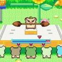 Hamtaro: Rainbow Rescue