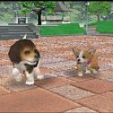 Nintendogs Dalmatian & Friends