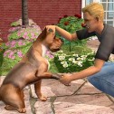 Die Sims 2 – Haustiere