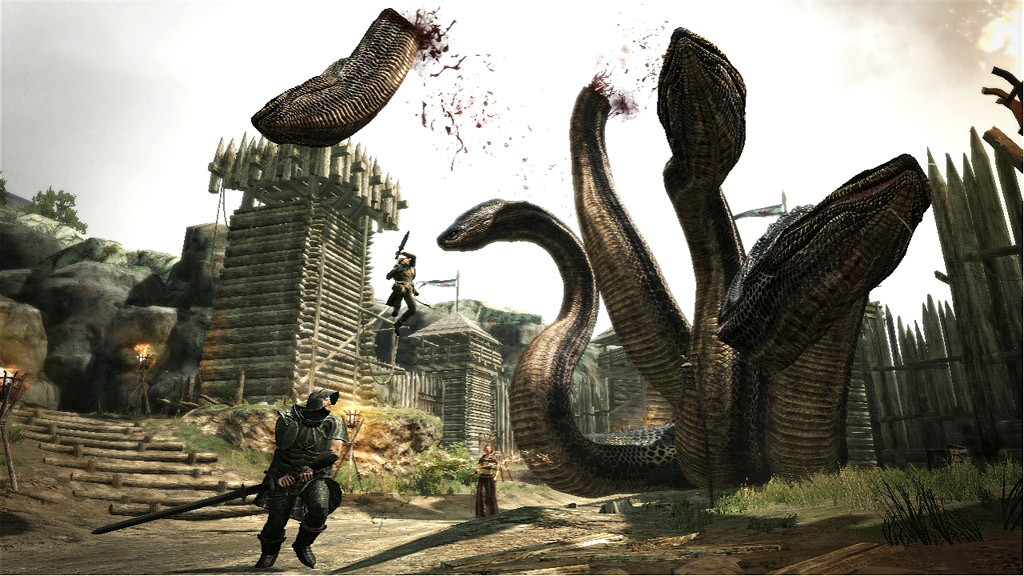 Gaming Dragons Erfahrung Gaming Dragons Erfahrung