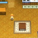 Harvest Moon: Tale of Two Towns