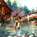 Shadow Warrior