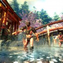 Shadow Warrior