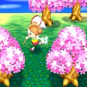 Animal Crossing: New Leaf