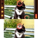 Spot The Differences!