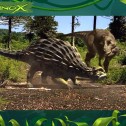 Dinox