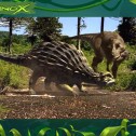 Dinox