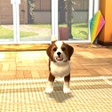 PlayStation Vita Pets