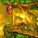 Donkey Kong Country