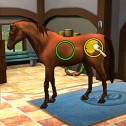 Meine Pferde-Praxis 3D