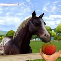 Horse Life: Freunde für immer