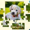 Puzzle Adventures