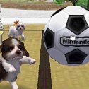 Nintendogs Labrador & Friends