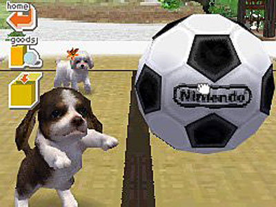 nintendogs best friends walk nintendogs best friends walk