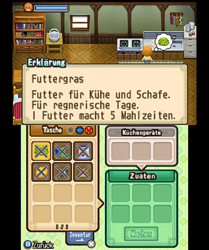Harvest Moon 3D: Geschichte zweiere Stdte  Games-Guide
