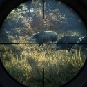 theHunter: Call of the Wild