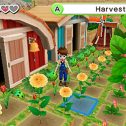 Harvest Moon: Dorf des Himmelsbaumes