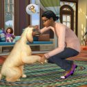Die Sims 4 – Hunde & Katzen
