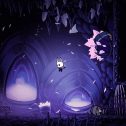 Hollow Knight